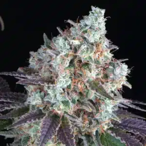 Bruce Banner