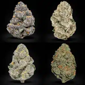 Mixed Pack
