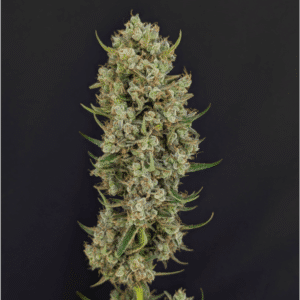 Hyperion Auto
