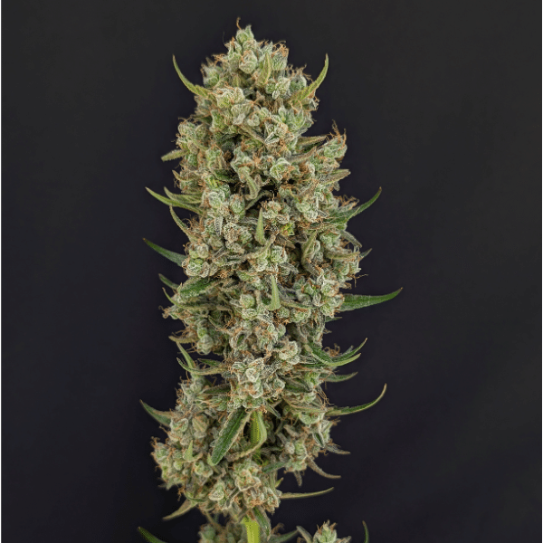 Hyperion Auto