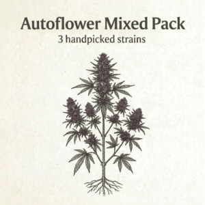 Autoflower Mixed Pack