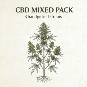 CBD Mixed Pack
